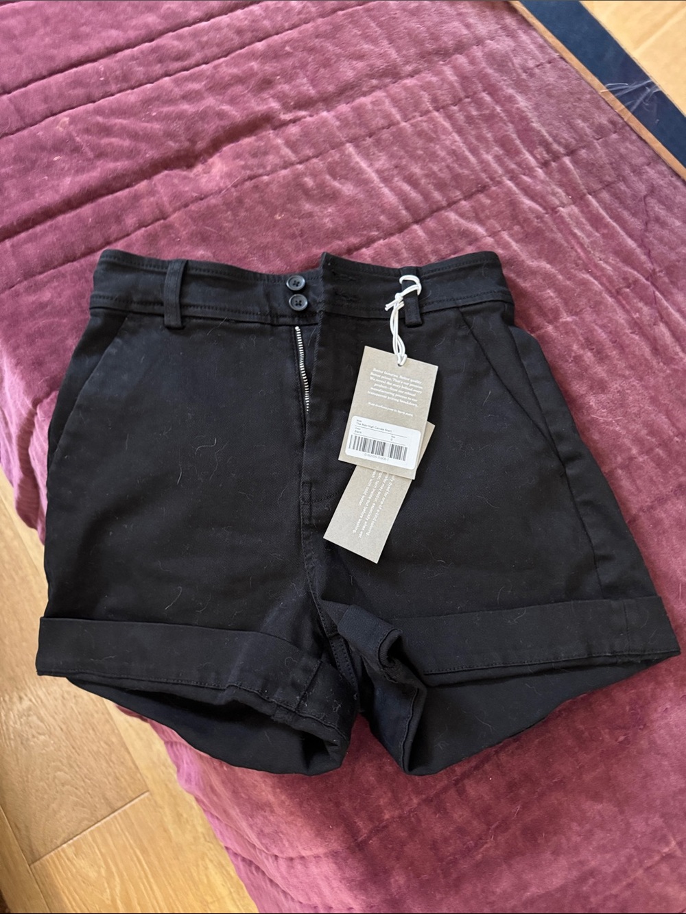 Everlane way-high canvas short